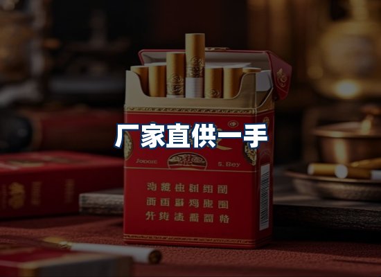 专业团队办公环境